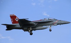 IMG_4558