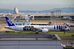 welcomeJapan　fastflight