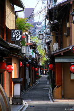 先斗町