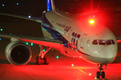 B787