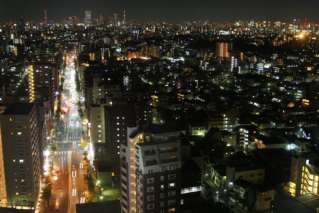 東京の夜景