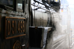 D51