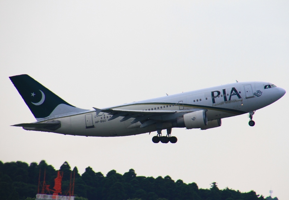 A319