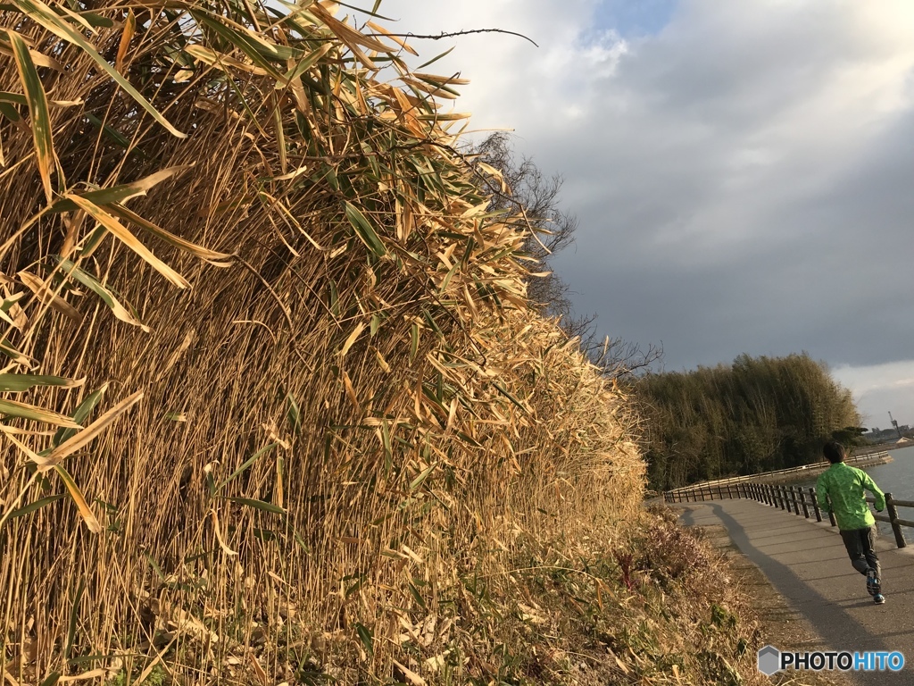 冬のランニング