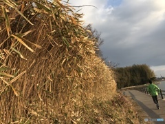 冬のランニング