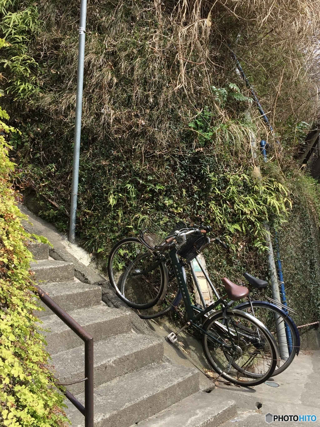 実は仲良し