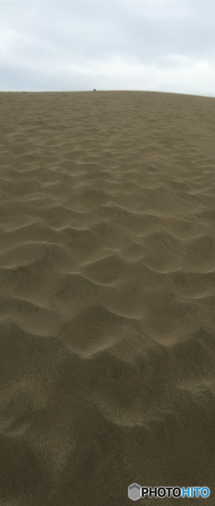 砂の丘