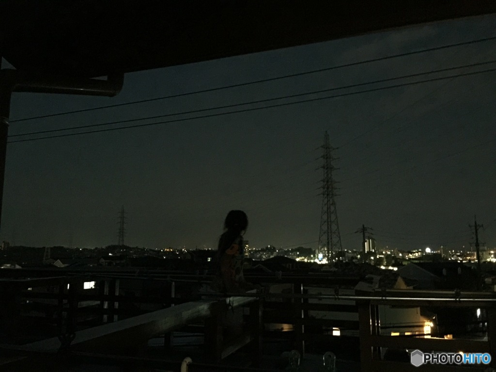 独り占めの観覧席