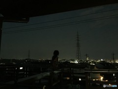 独り占めの観覧席