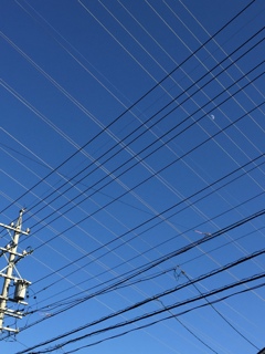 青空に張り巡らす