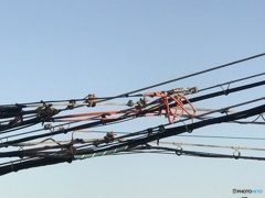 暑さと涼しさを交差