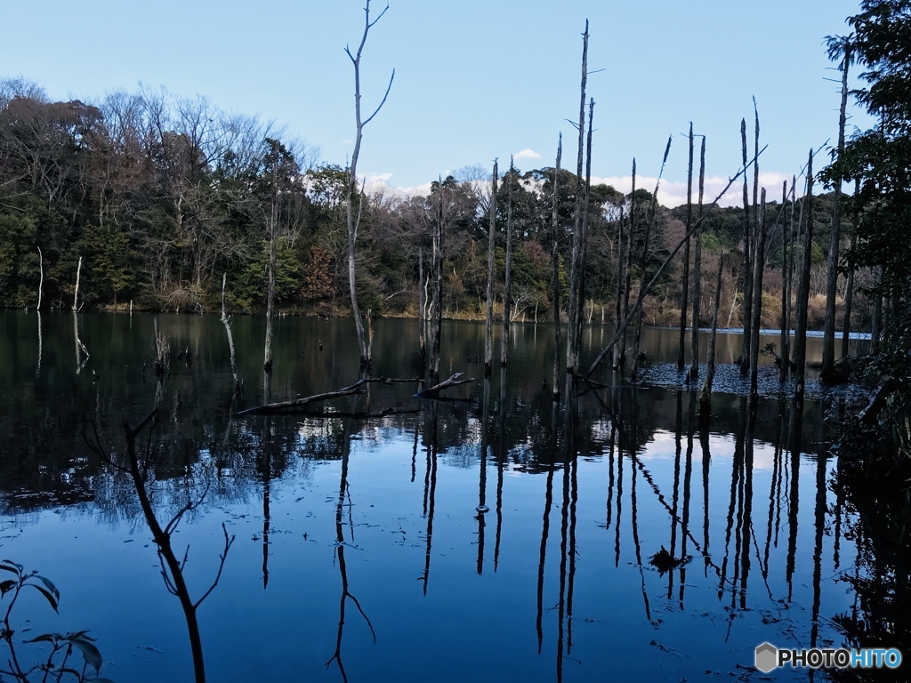 秘境へドライブ