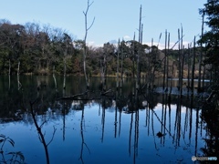 秘境へドライブ