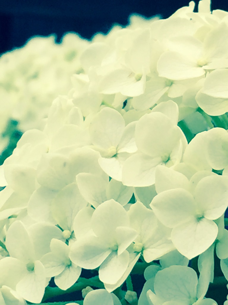 想いをあなたに