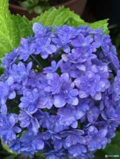 梅雨だから濡れるね