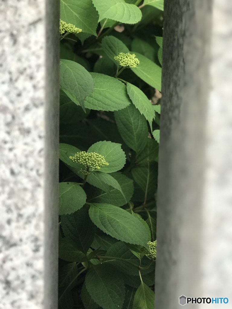 念いと念いの狭間から