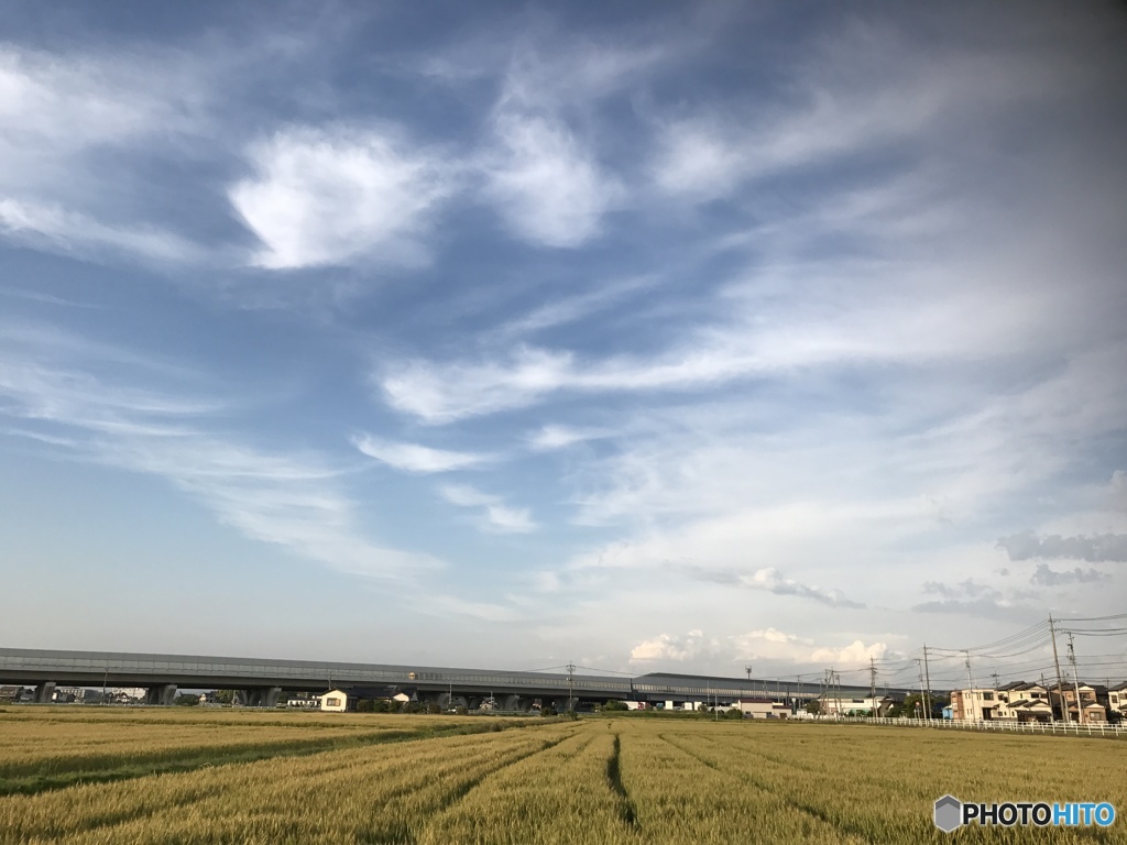 麦 麦    そして空