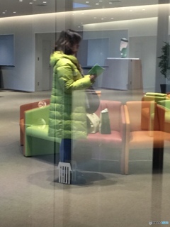 妖精コッカを探しに