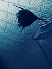 ブルーな気持ち