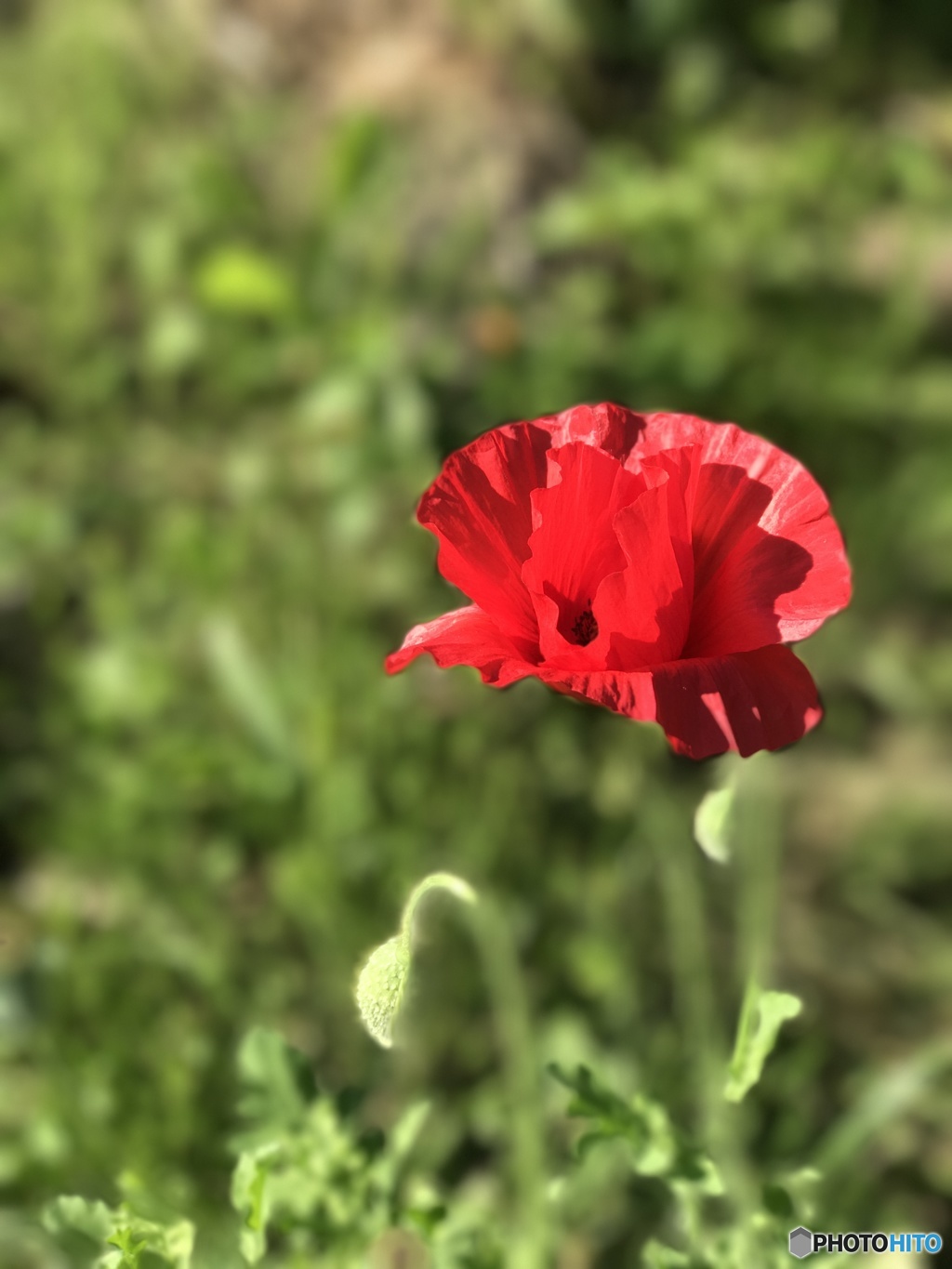 暑さにまけないように！