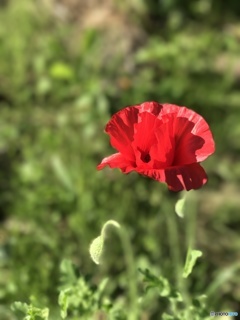 暑さにまけないように！