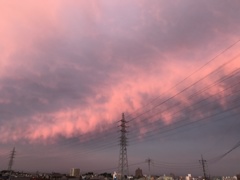 いつもの席から