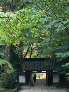 渓谷を通り抜ければ