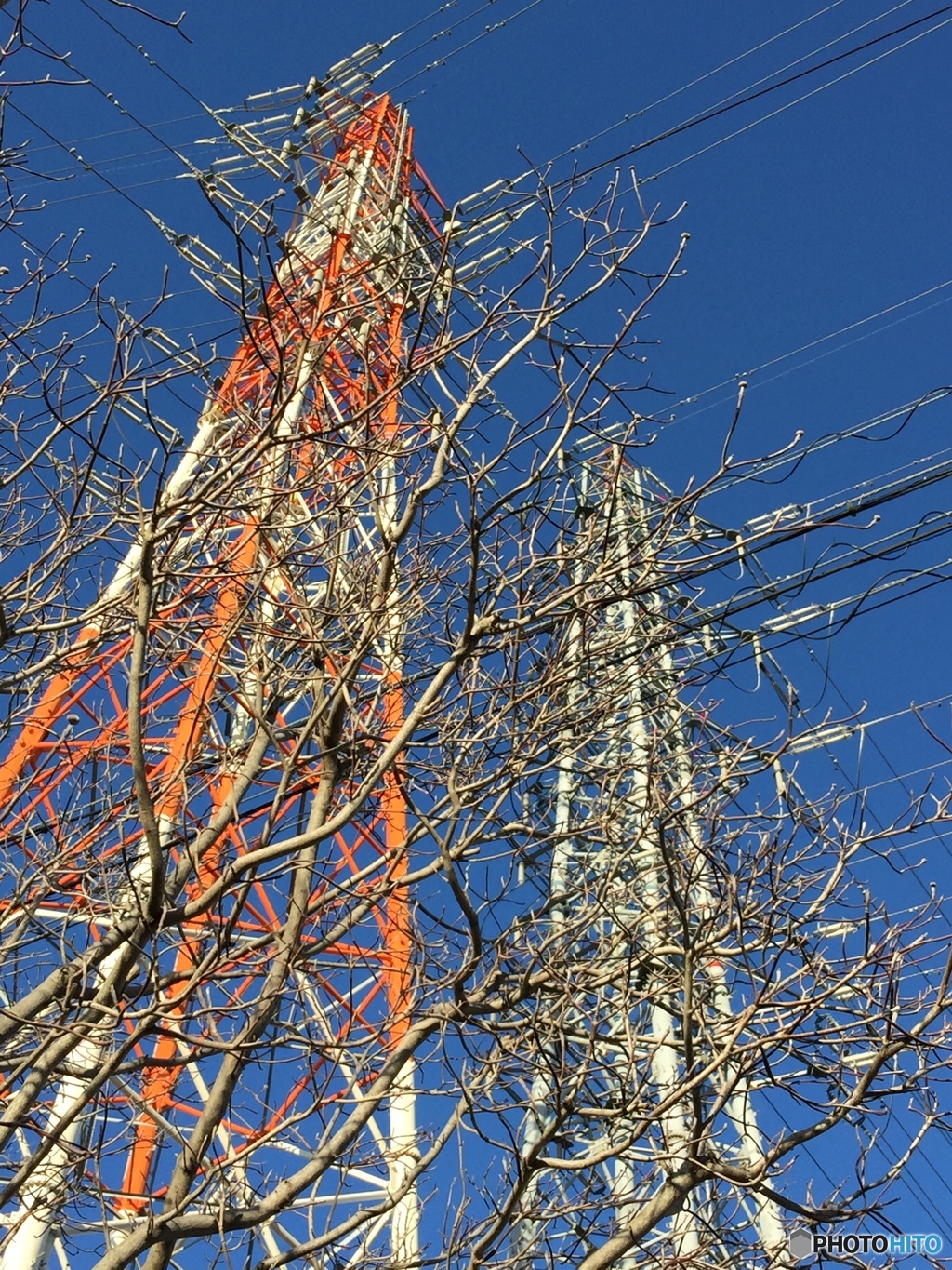 重なり合い混乱