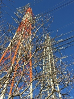 重なり合い混乱