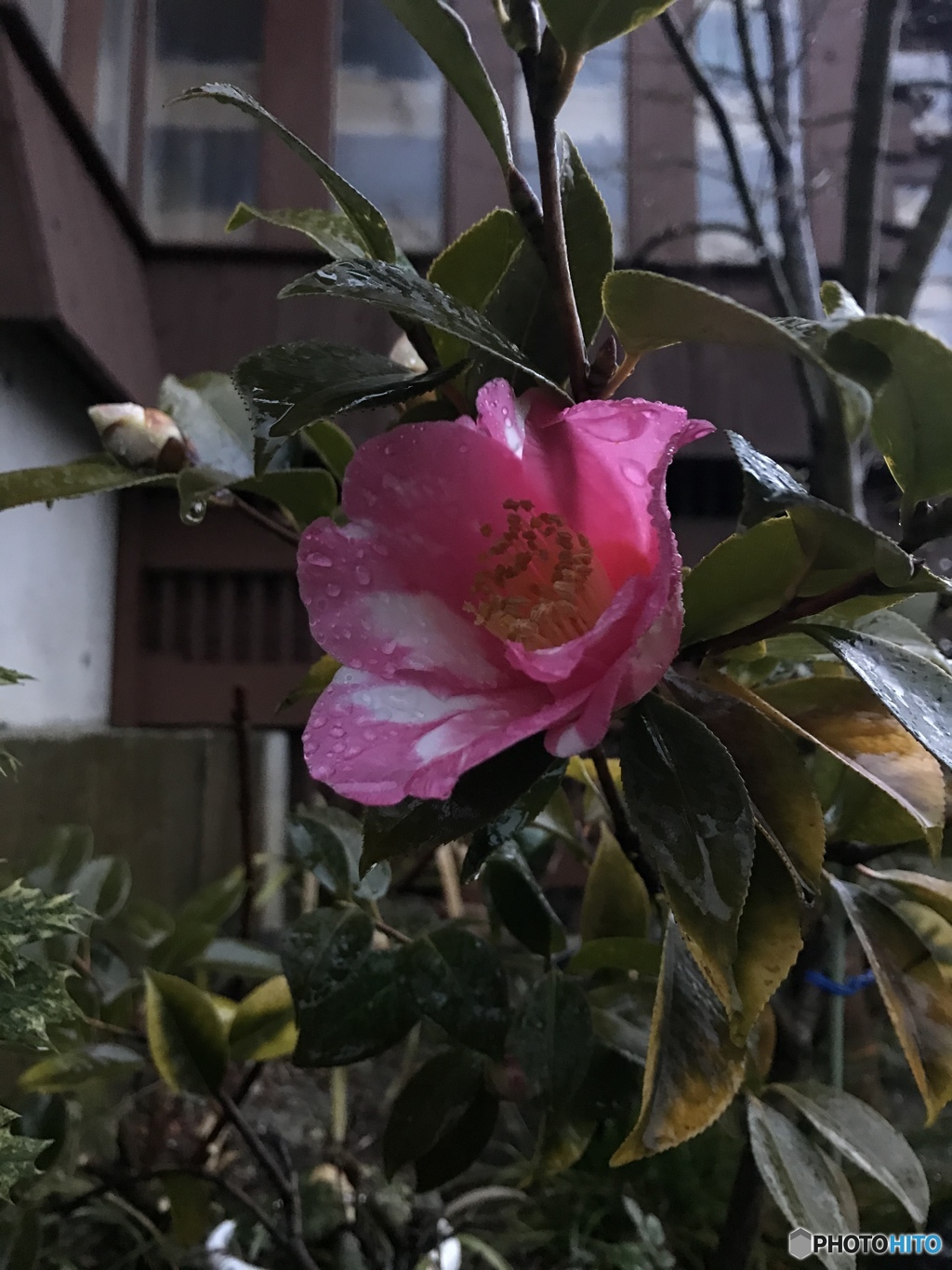 三寒四温を繰り返し