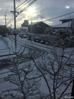 今日の一枚  初雪