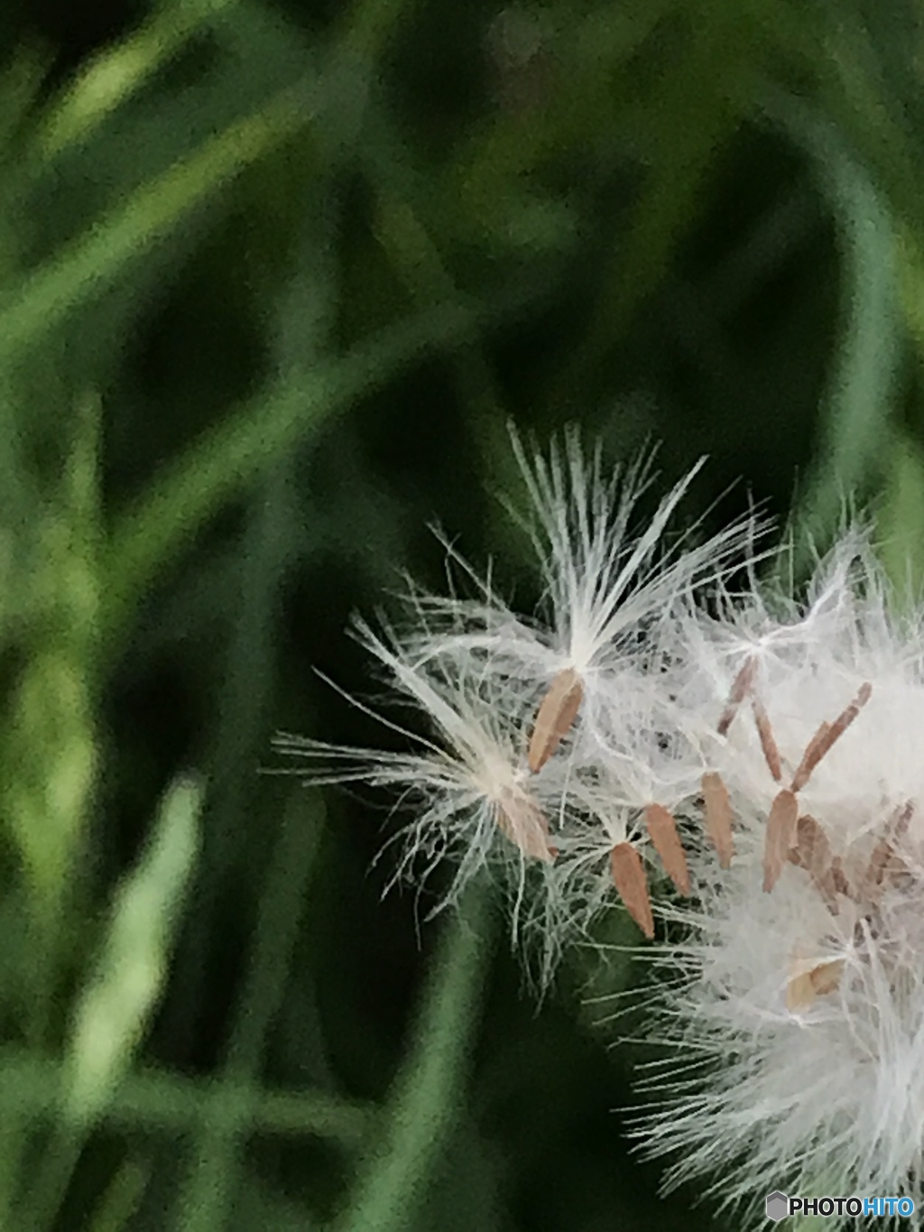 モノ撮り  其の四