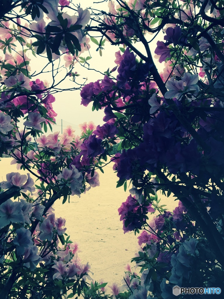 ふたりだけの秘密