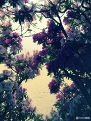 ふたりだけの秘密