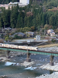 紅葉より撮り鉄になってた私