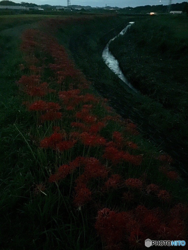 ごんぎつねの里