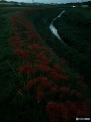 ごんぎつねの里