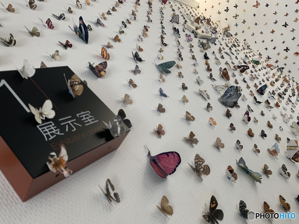 いのちの移ろい展