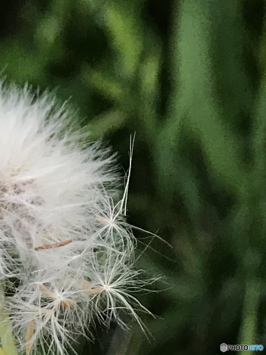 モノ撮り  其の参