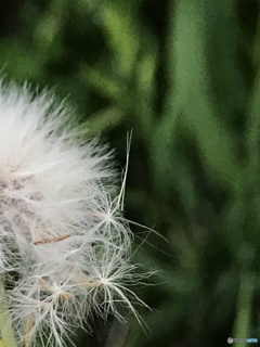 モノ撮り  其の参