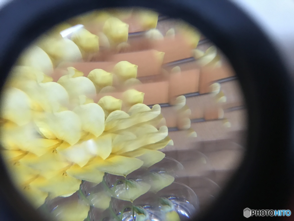 レンズでお遊び