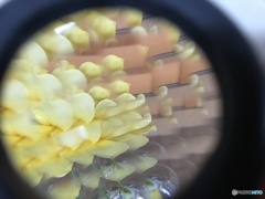 レンズでお遊び