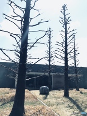 豊田市美術館  散歩