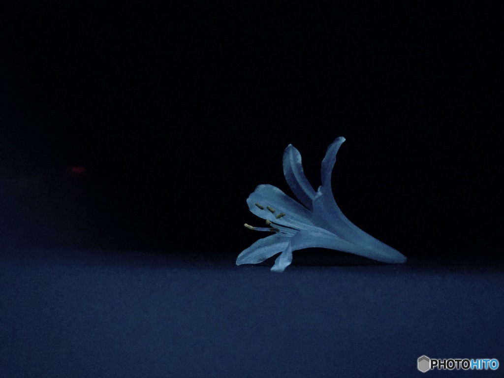 モノ撮り   其の六