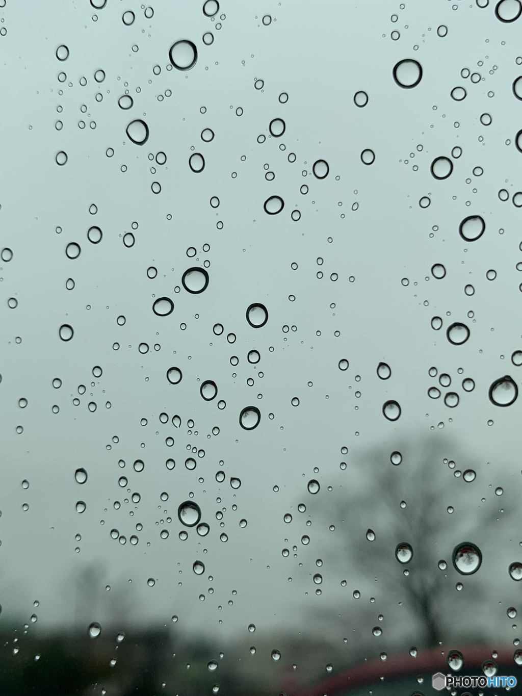 冷たい雨だけど