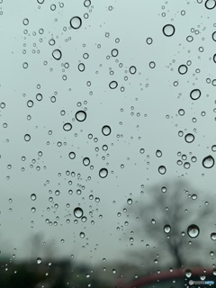 冷たい雨だけど