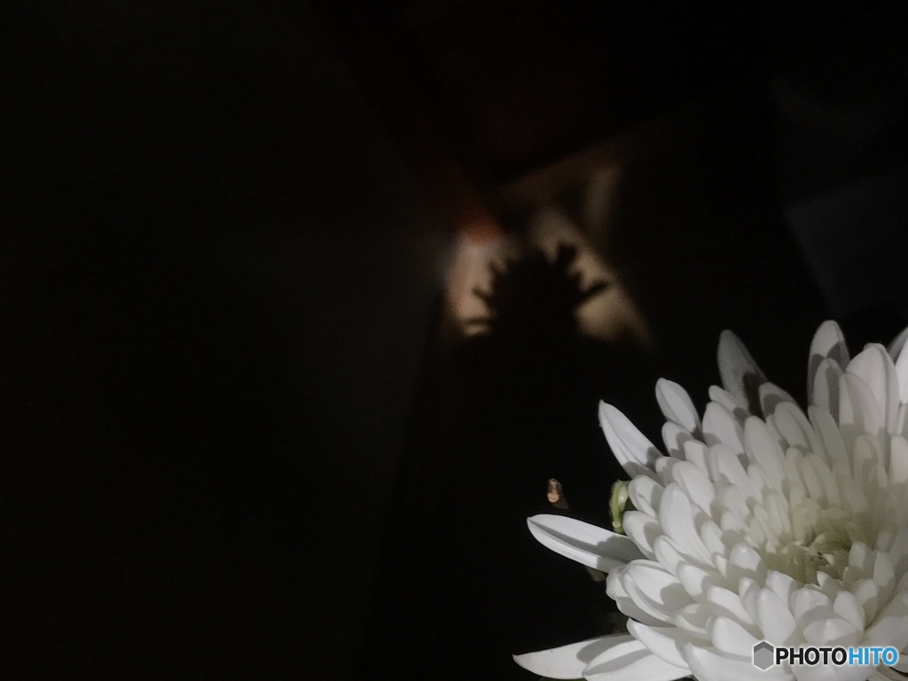 気が付けば304枚目