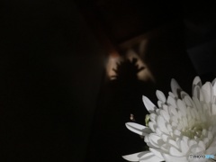 気が付けば304枚目