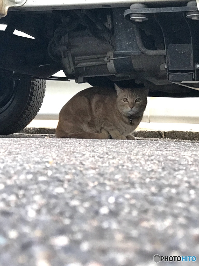 あなたと隠れんぼ