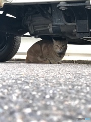 あなたと隠れんぼ